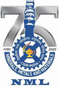 75 years of NML Logo